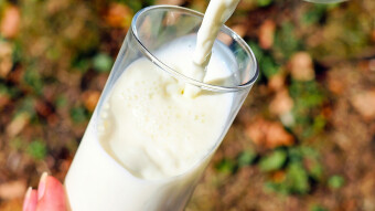 A Different Kind Of Milk Recipe. Easy But Tasty.