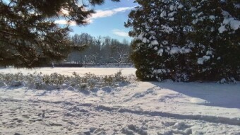 It was like this, and now it is like this. However, I prefer winter weather - My Actifit Report Card: December 14 2023
