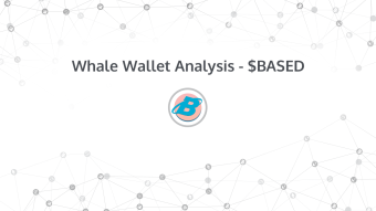 Whale Wallet Analysis - BASED