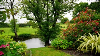 Return To Nature