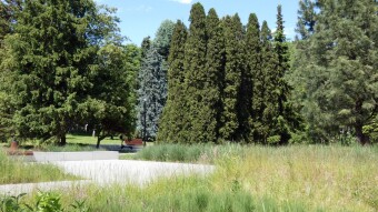 Cycling in the park, and an evening walk by the pond - My Actifit Report Card: June 4 2023
