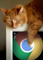 Managed by your organization warning in Chrome