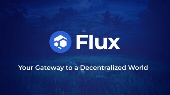 A propos de Flux (Zel)