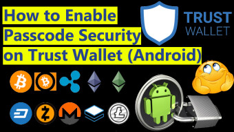 How to Enable Passcode Security on Trust Wallet Android | TRUST Wallet |  Crypto Ustaad
