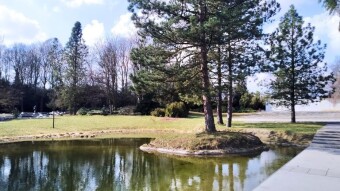A very spring-like and warm Friday - My Actifit Report Card: March 13, 2026