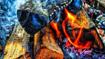 Predictions for The Crypto Bull Market