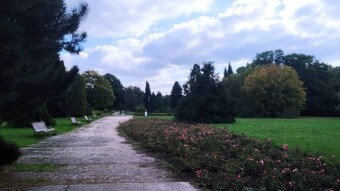Sunday walk and also in the kitchen - My Actifit Report Card: October 5, 2025