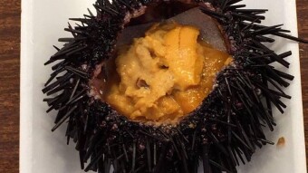 Japanese cuisine: Sea urchin