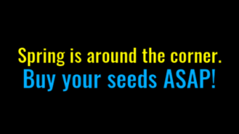 Now's The Time To Buy Your Seeds