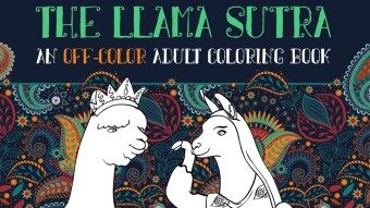 #CrapGotPublished - The Llama Sutra