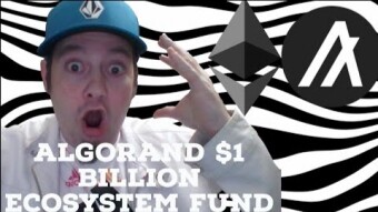 Algorand and the massive Ecosystem $1 Billion Fund