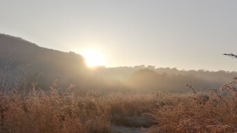 Sunrise after lockdown