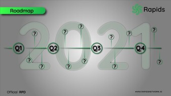 Rapids Network presents its Roadmap 2021