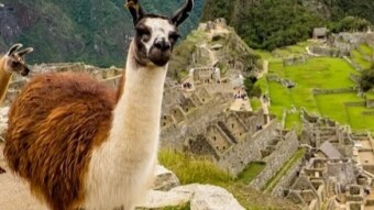 ChromaWay Expands Effort to Put Latin American Land Records on the Blockchain