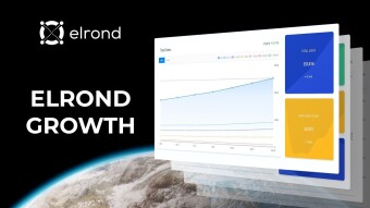 Elrond Network - #hypergrowth100