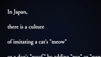 Add 'meow' to the end of sentences, meow