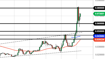 Why is ETH/BTC Holding Up So Well? (Weekly Forecast)