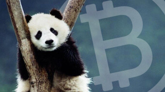 CoinPanda Review