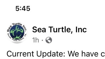 Sea Turtle Inc: Texas Sea Turtle Hospital Without Power and in Desperate Need!