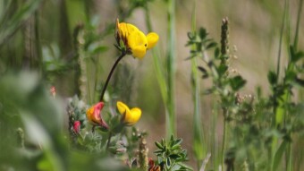 Trip Through Macro World in Waste Land - Valongo | Portugal