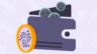IOTA BEST WALLET