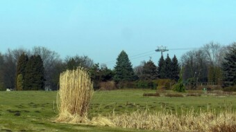 Windy but warm - spring is coming - My Actifit Report Card: February 17 2023