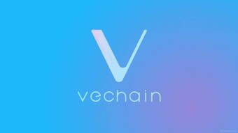 Creating a Blockchain: Vechain