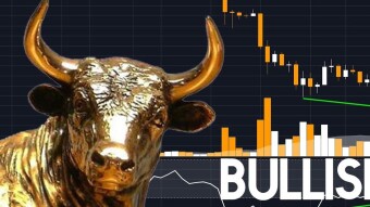 IS ALTCOIN BULL SEASON STARTED?