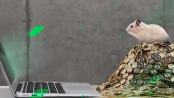 Crypto trading hamster's gains outperform Warren Buffet