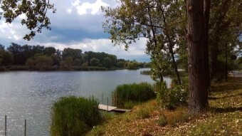 A breath of autumn over my favorite pond - My Actifit Report Card: August 31 2023