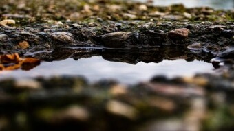Bull Market Reflections - The Winter and Spring of My Crypto Experience