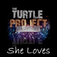 She Loves by The Turtle Project "New Release"