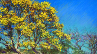 Waalsdorpervlakte – 04-05-21 (sold)