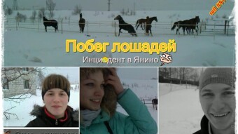 The horses ran away. Incident