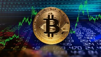 The Coins that Skipped The Crash, Next week expectation.