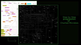 Step by Step progression of Charted Microbes