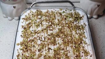 Foodbook #431 Ekmek Kadayifi