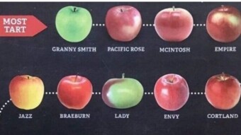 Fruit – OMG!!! SUGAR!!!