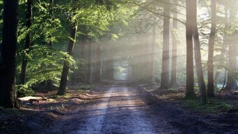 Daily Affirmations - 10 Mar, 2020