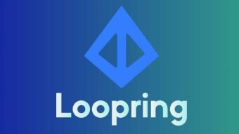 LOOPRING.ORG review