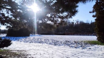 Winter Tuesday, some snow fell and it got frosty - My Actifit Report Card: December 30, 2025