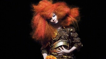 Crystalline by Björk - Daily Song Facts