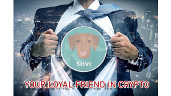 Vizsla Inu | Charity for Dog Shelters Created With Crypto Transactions