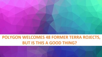 Polygon CEO welcomes 48 Terra projects to their new home, but is this a good thing?