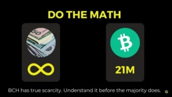 Bitcoin - Is it still Cash or has become a store of value?