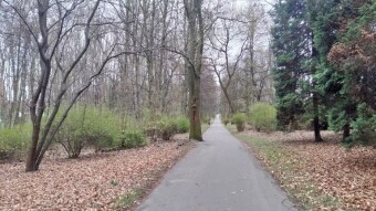 Spring stagnates, cold, not very pleasant - My Actifit Report Card: March 27, 2026