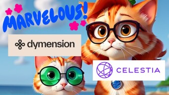 Dymension (DYM): The Next Big Modular Blockchain Thing?