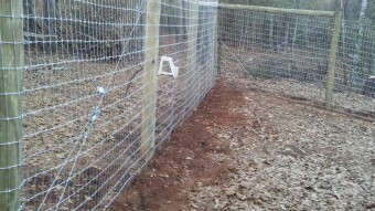 Apocalyptic Homesteading (Day 41)