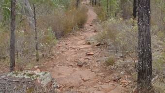 Alligator Gorge, Flinders Ranges
