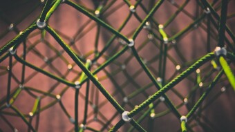 Crypto Tokens Don't Thrive Without Ecosystems